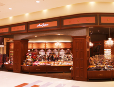Accejapan かほく店